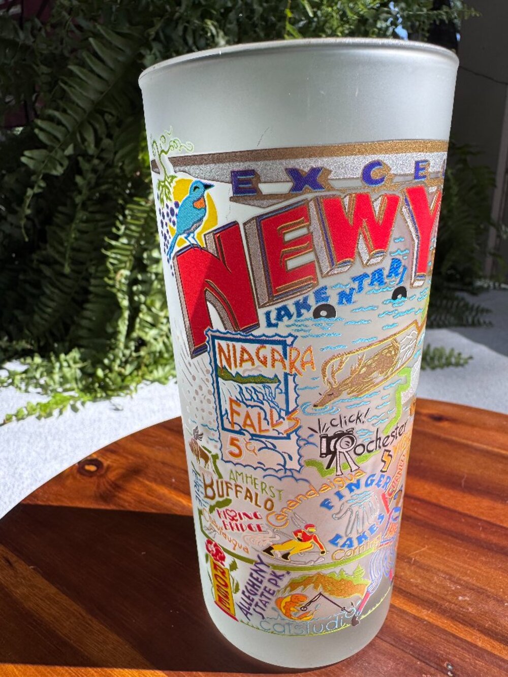Vintage Catstudio New York State Frosted Glass Tumbler - 15oz